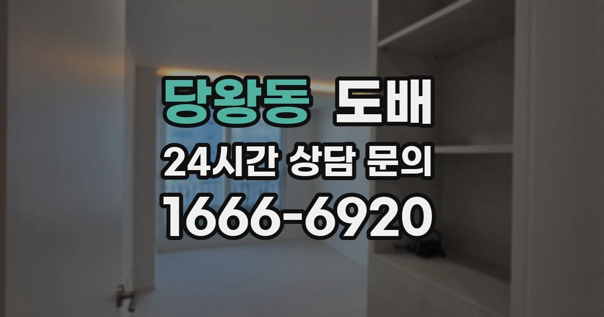 당왕동 도배