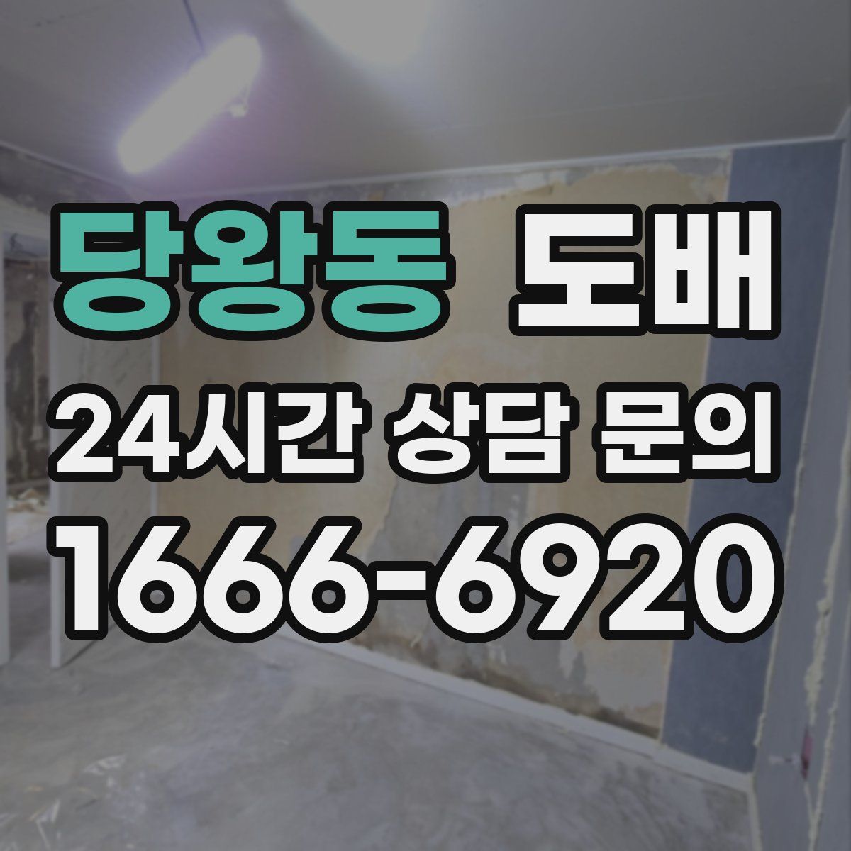 당왕동 도배