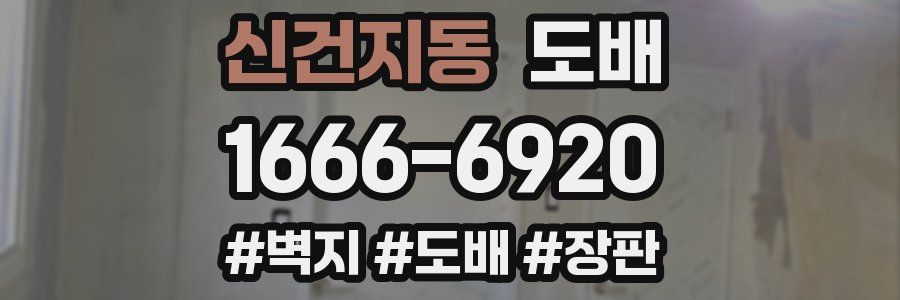 신건지동 도배