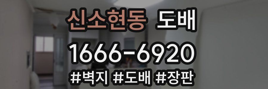 신소현동 도배