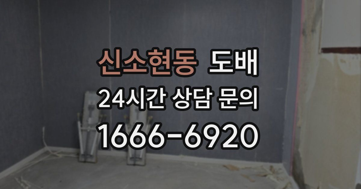 신소현동 도배