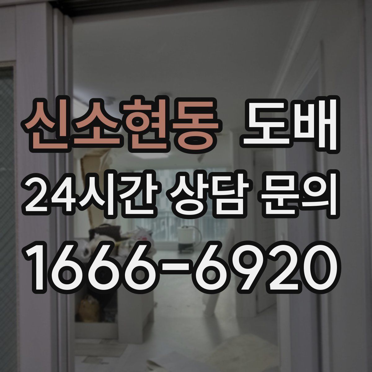 신소현동 도배