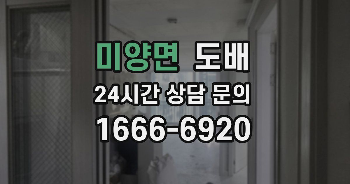 미양면 도배