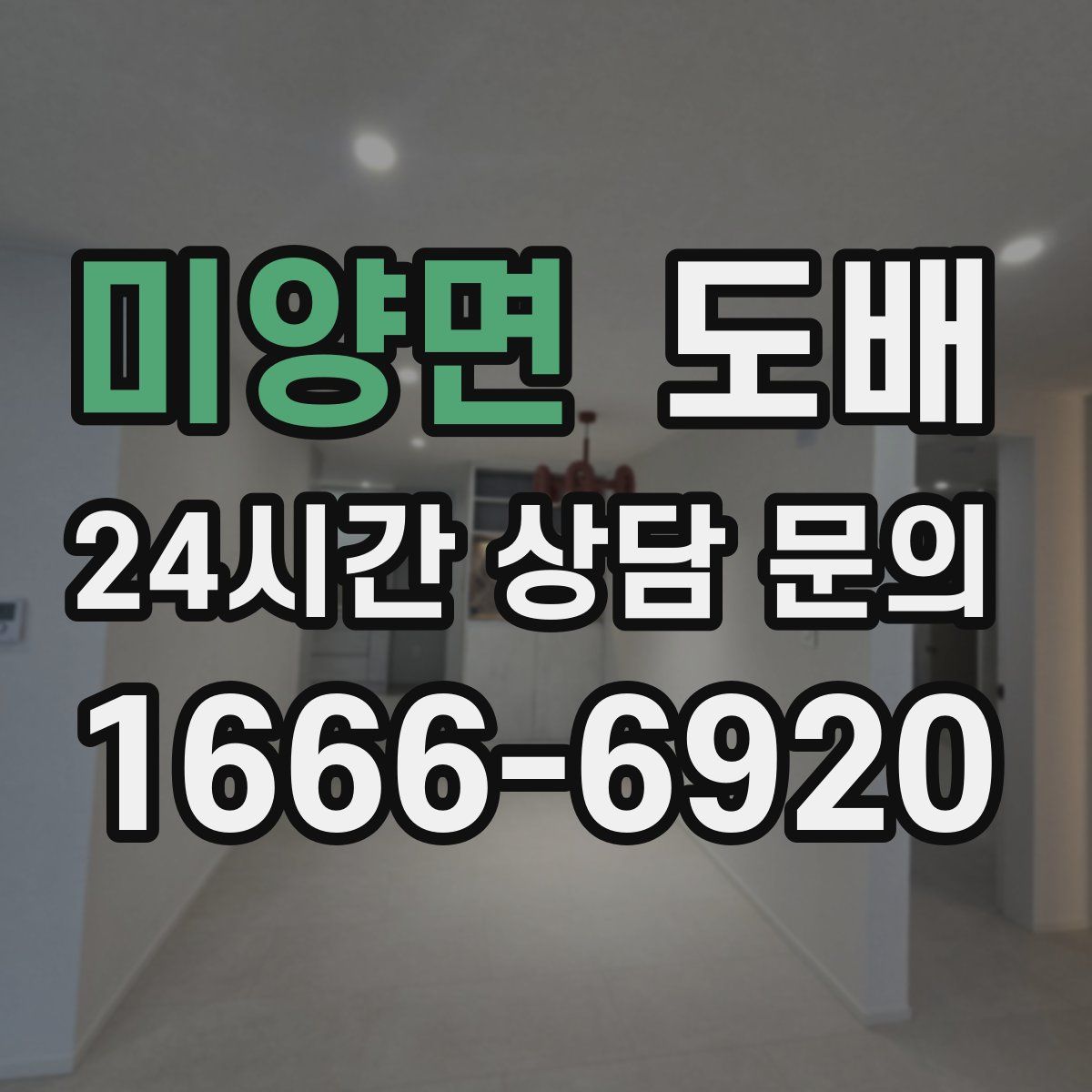 미양면 도배