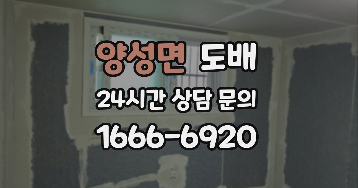 양성면 도배