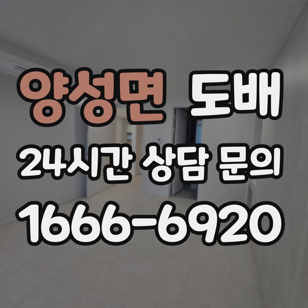 양성면 도배