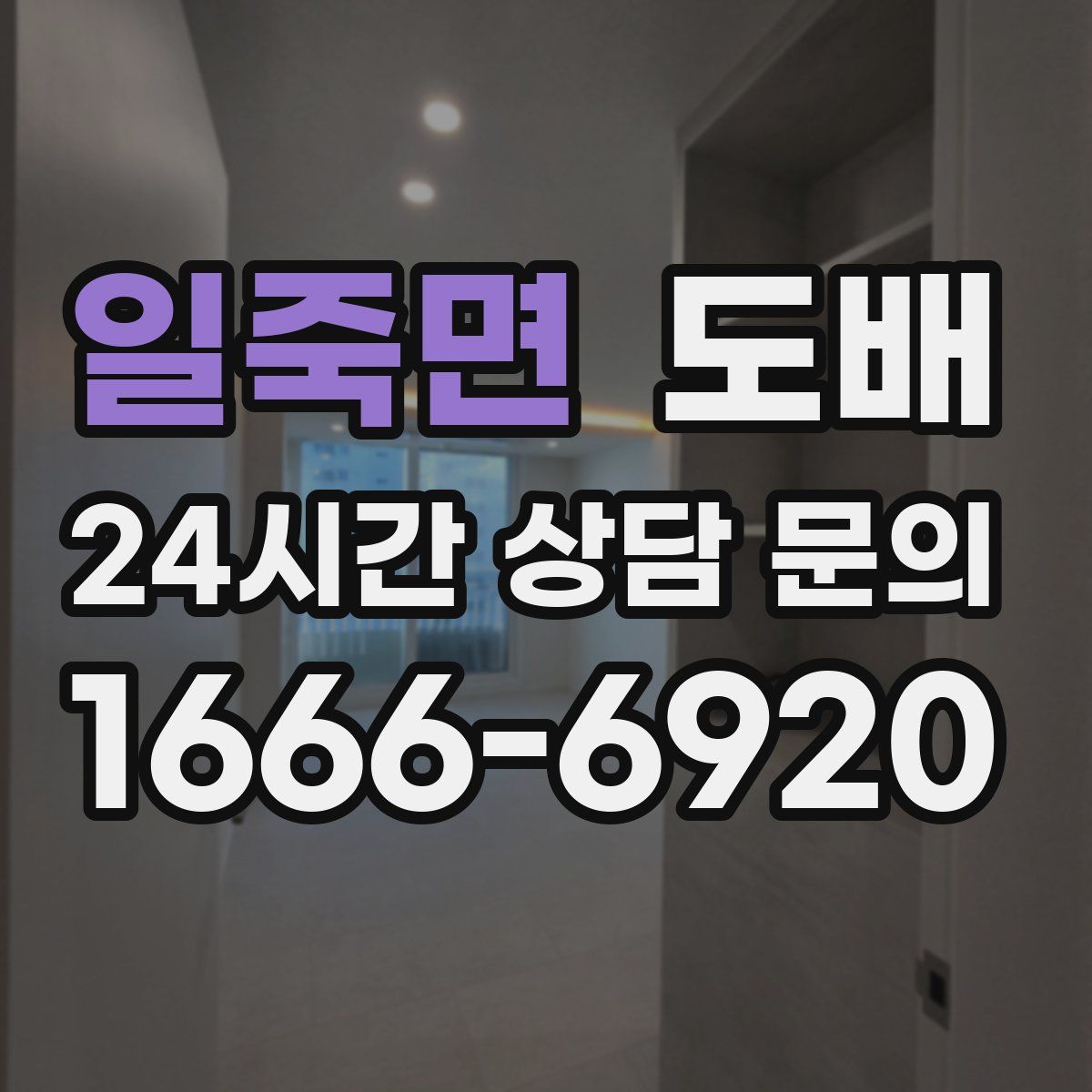 일죽면 도배
