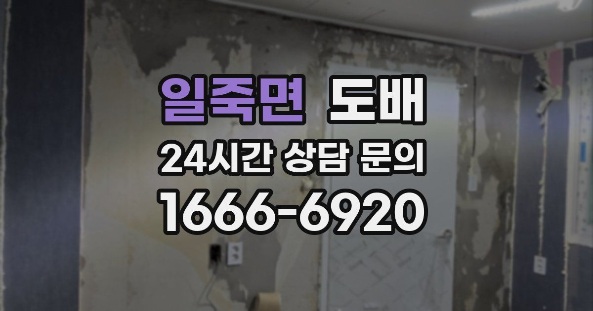 일죽면 도배