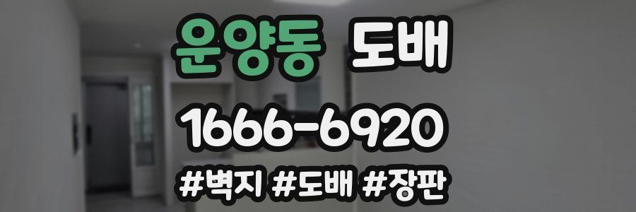 운양동 도배