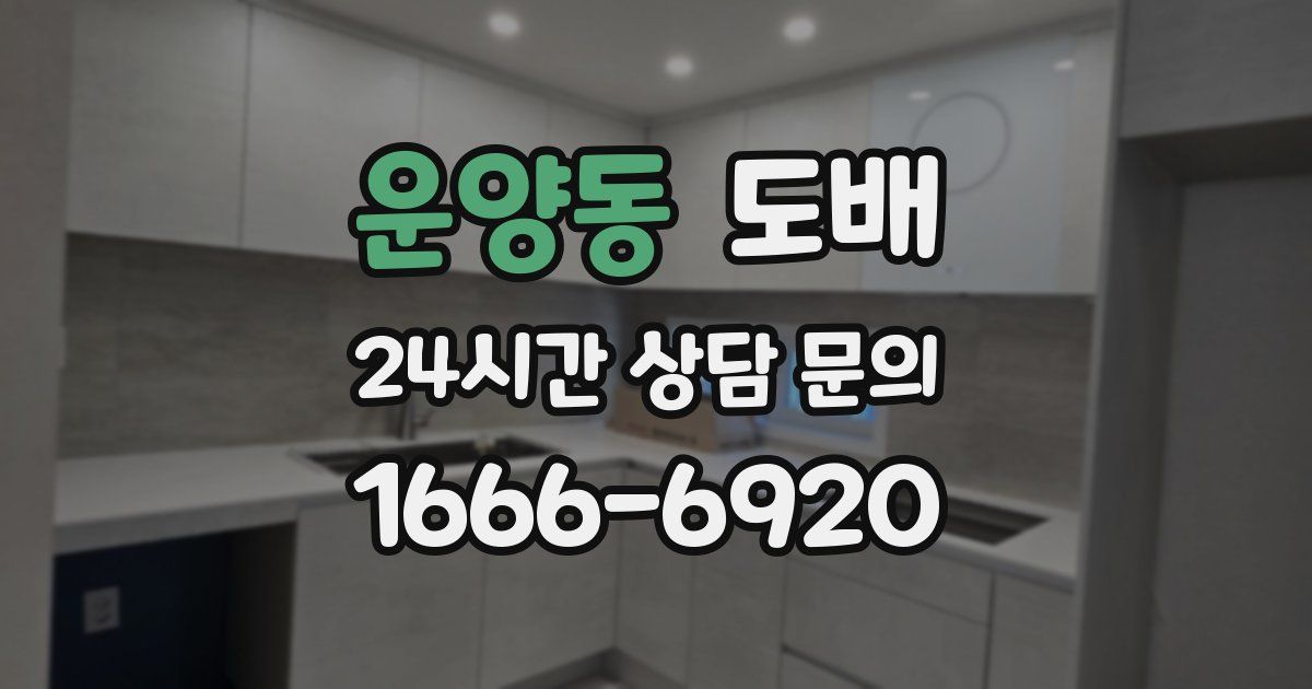 운양동 도배