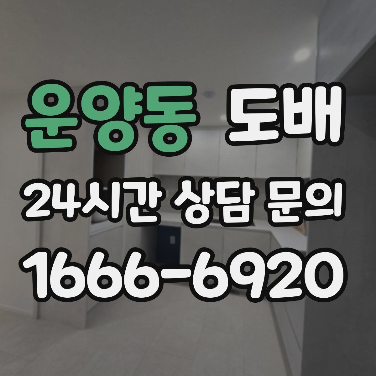 운양동 도배