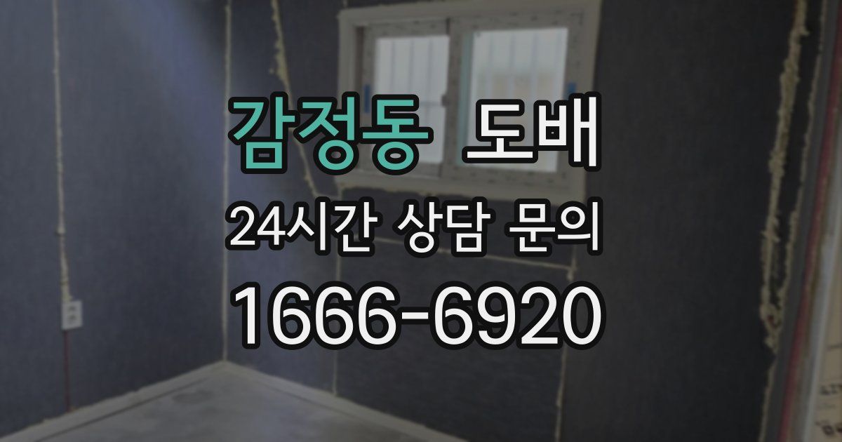 감정동 도배