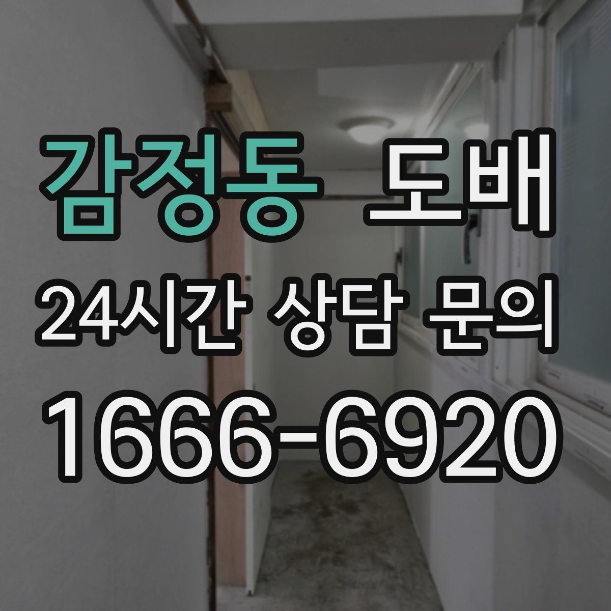 감정동 도배