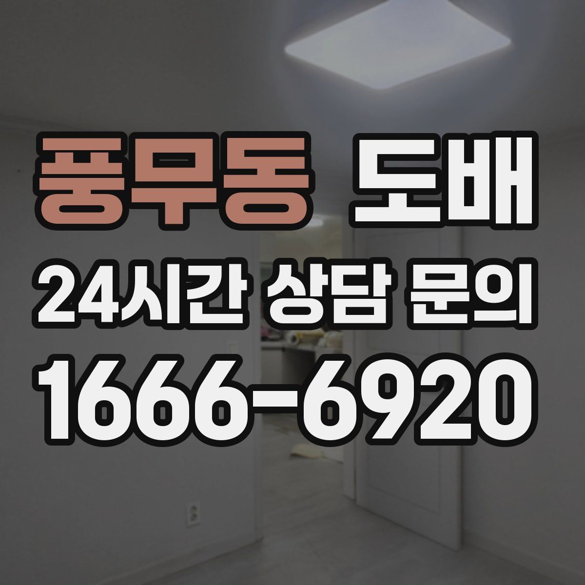 풍무동 도배