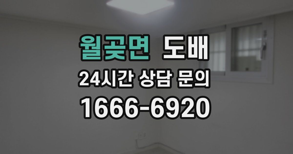 월곶면 도배