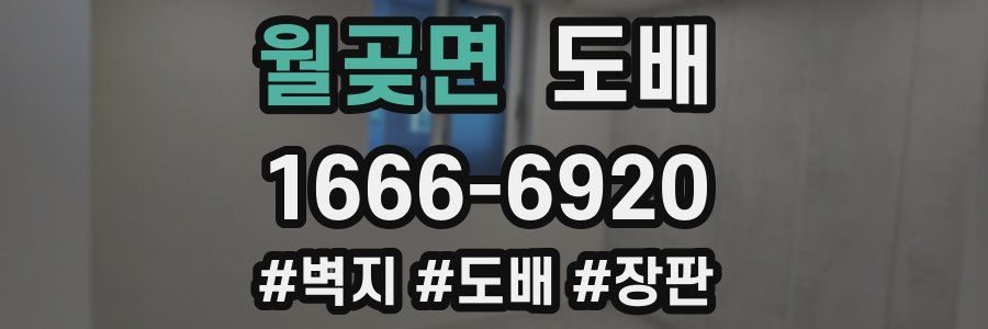 월곶면 도배