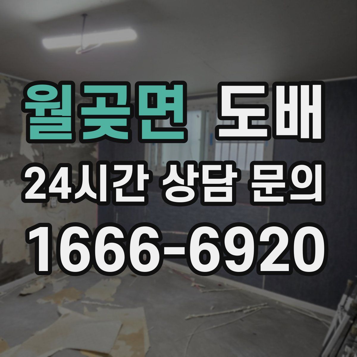 월곶면 도배