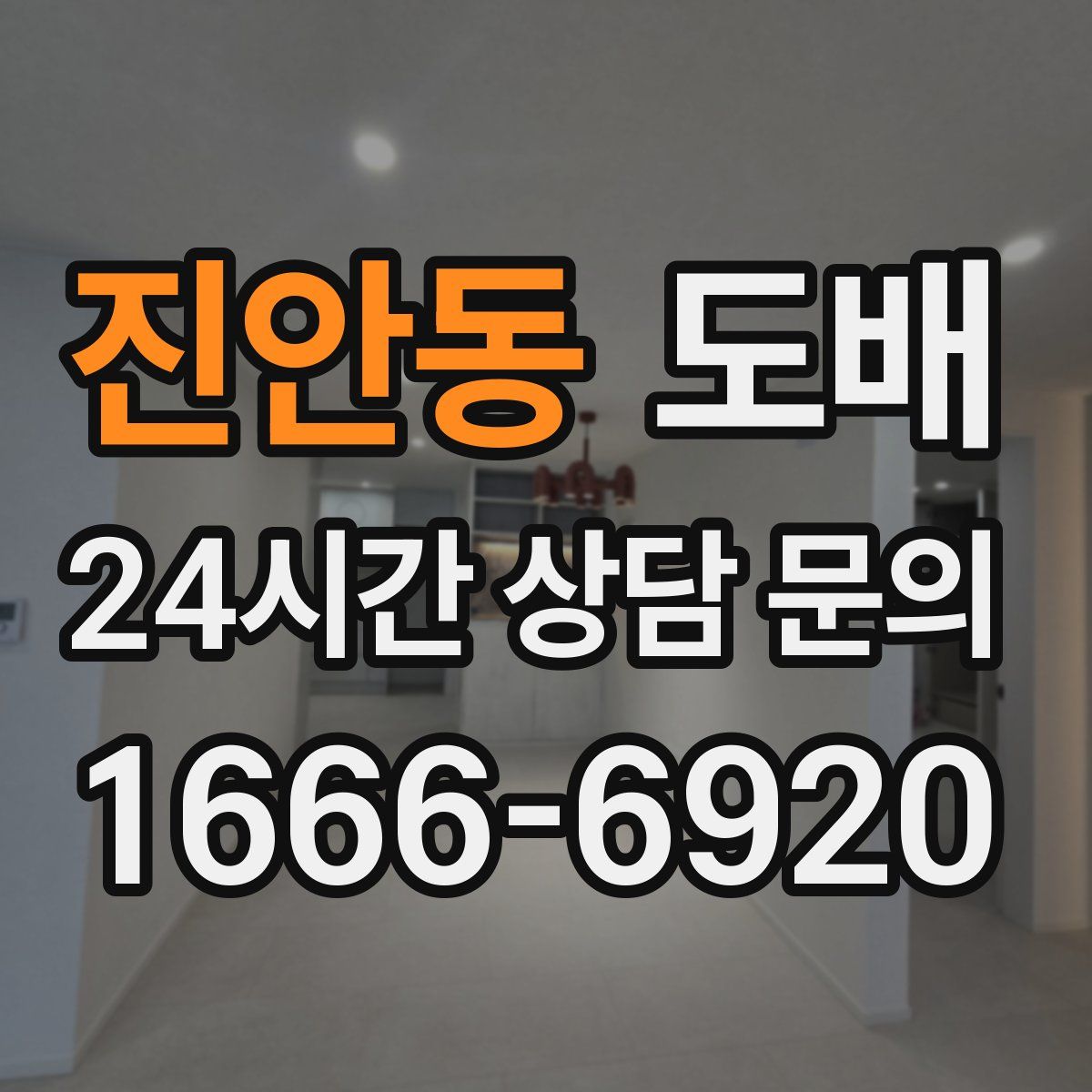 진안동 도배