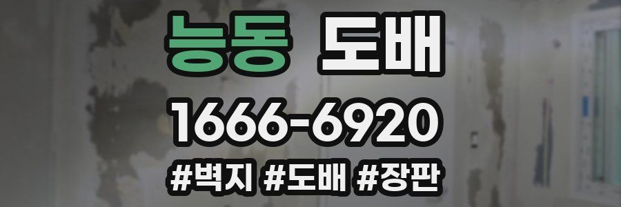 능동 도배