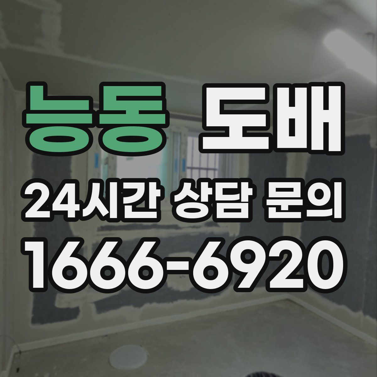 능동 도배