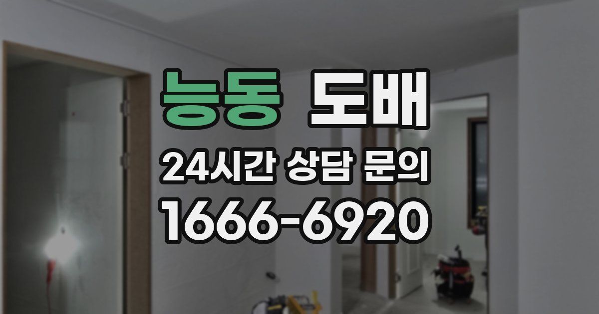 능동 도배