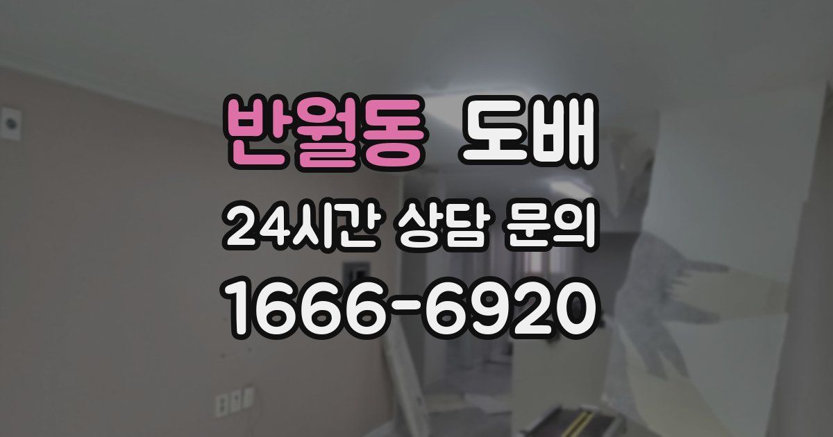 반월동 도배
