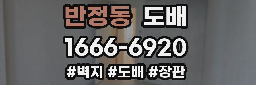 반정동 도배