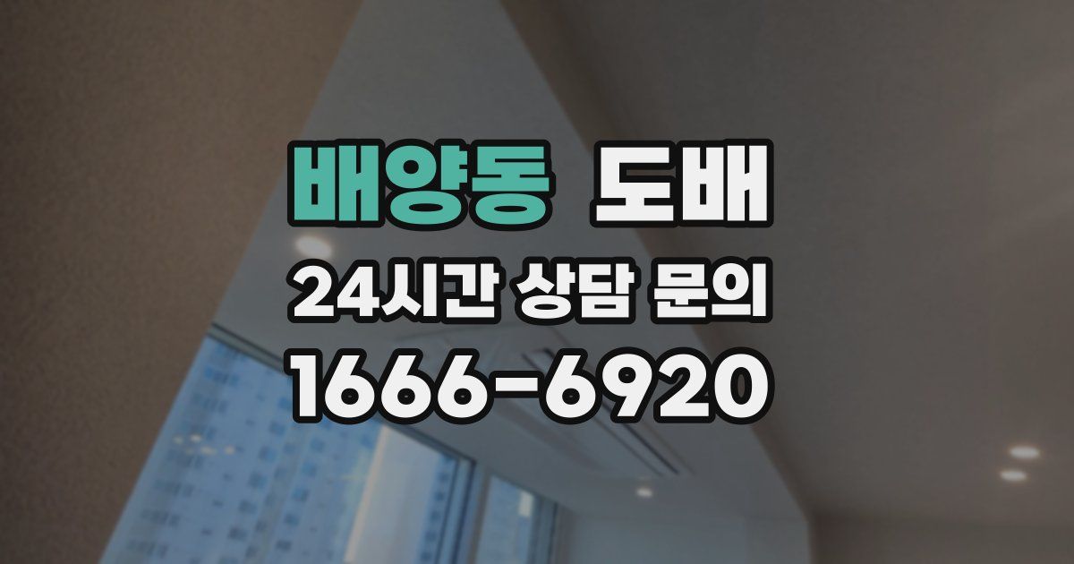 배양동 도배