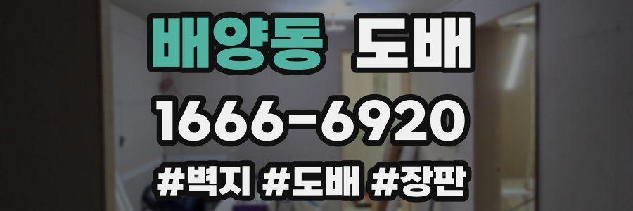 배양동 도배