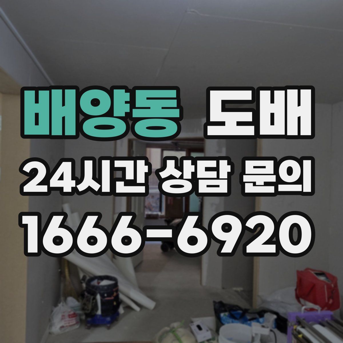 배양동 도배