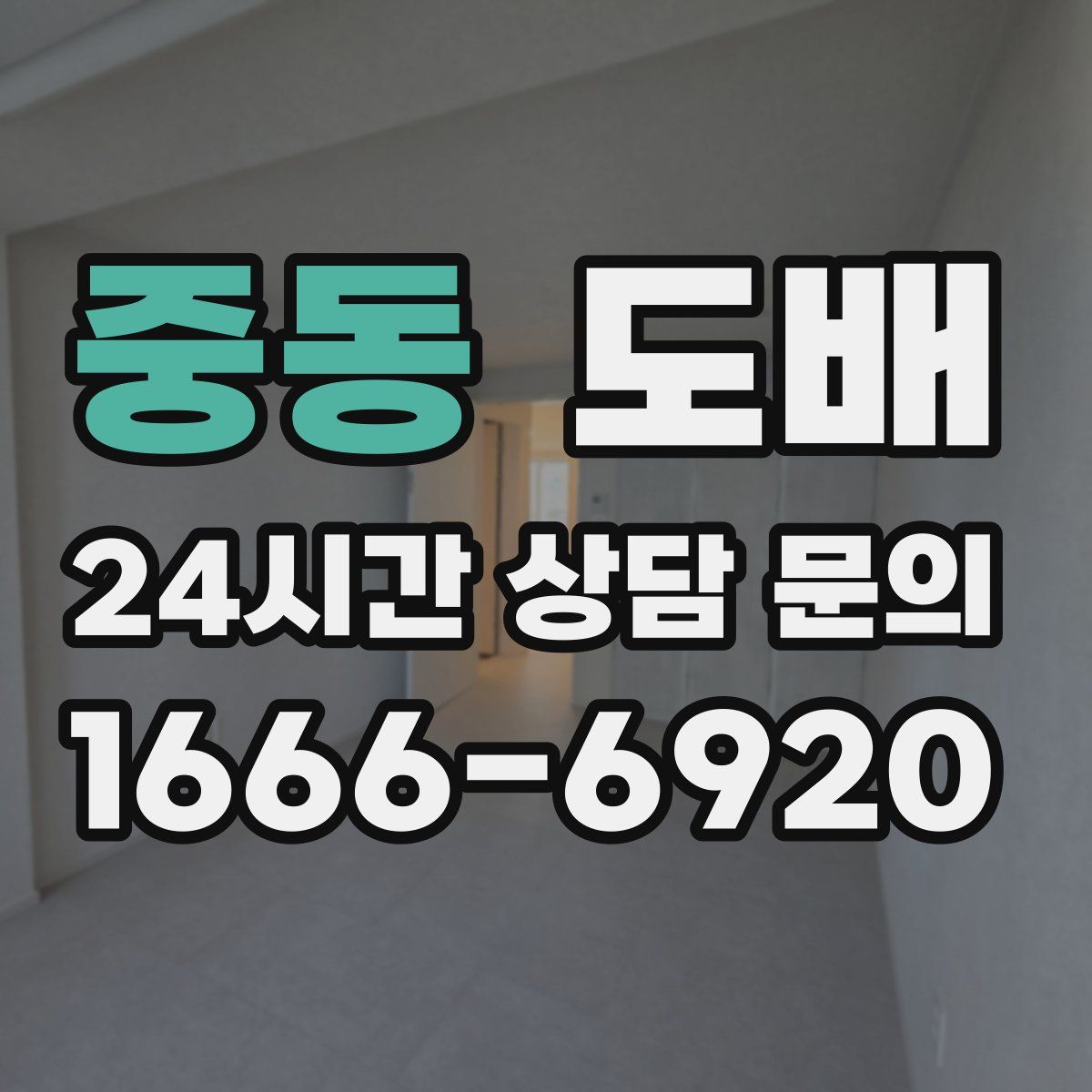 중동 도배