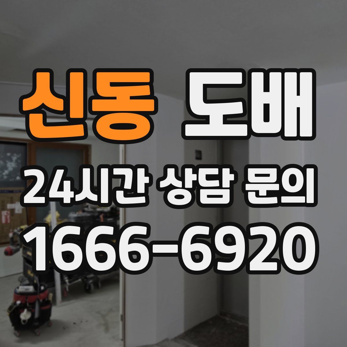 신동 도배