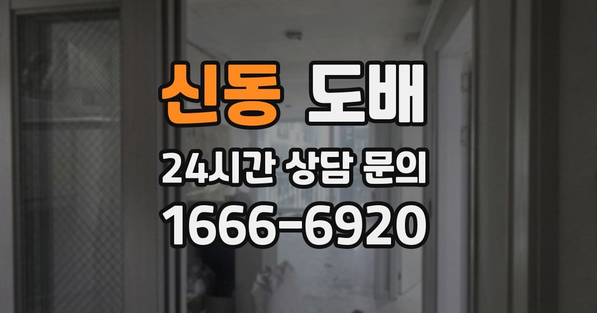 신동 도배