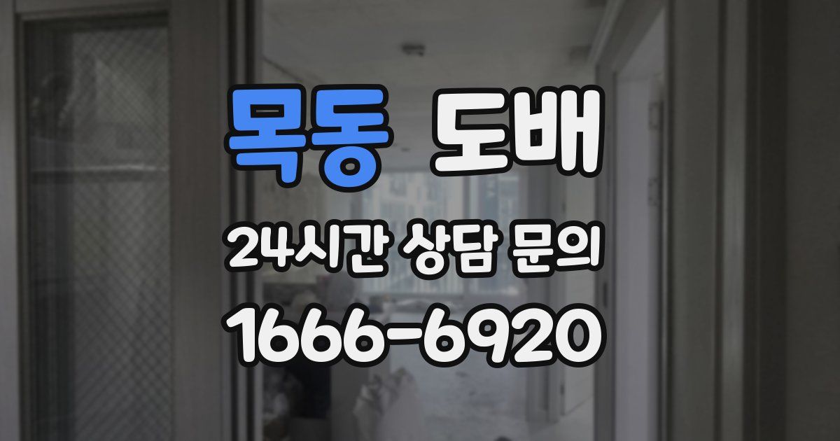 목동 도배