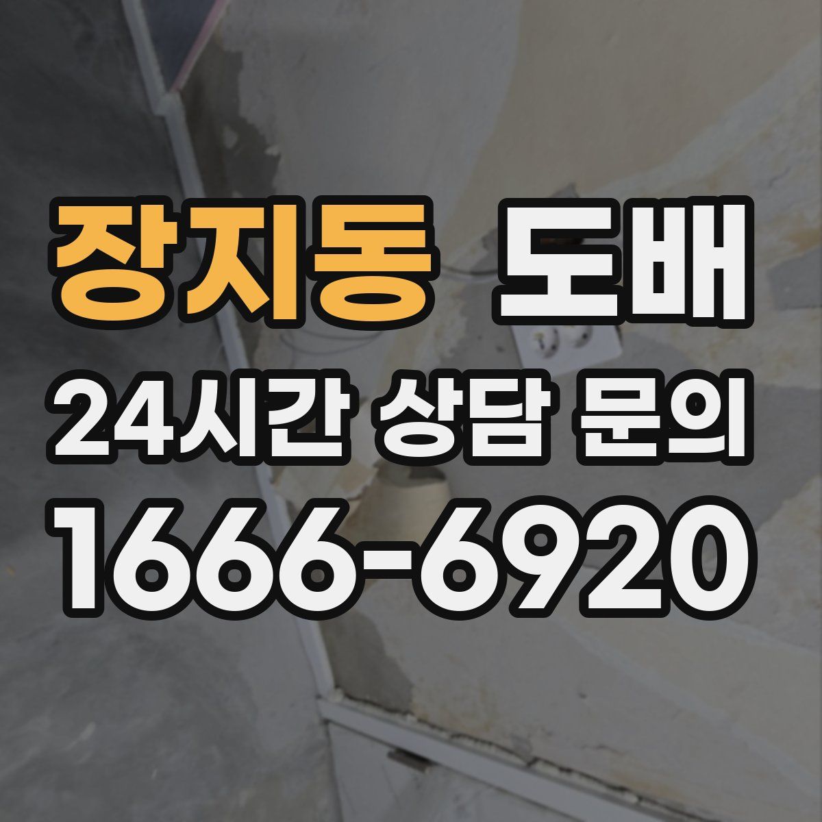 장지동 도배