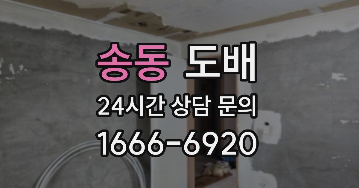 송동 도배