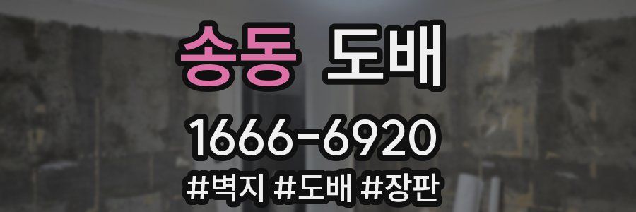 송동 도배