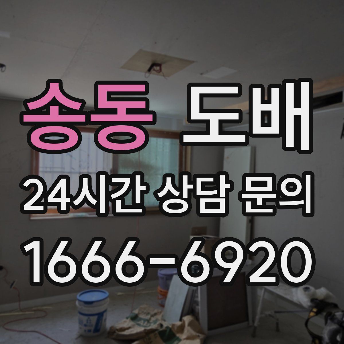 송동 도배