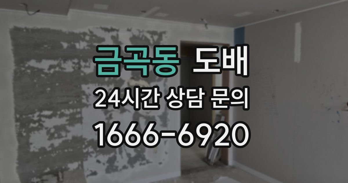 금곡동 도배