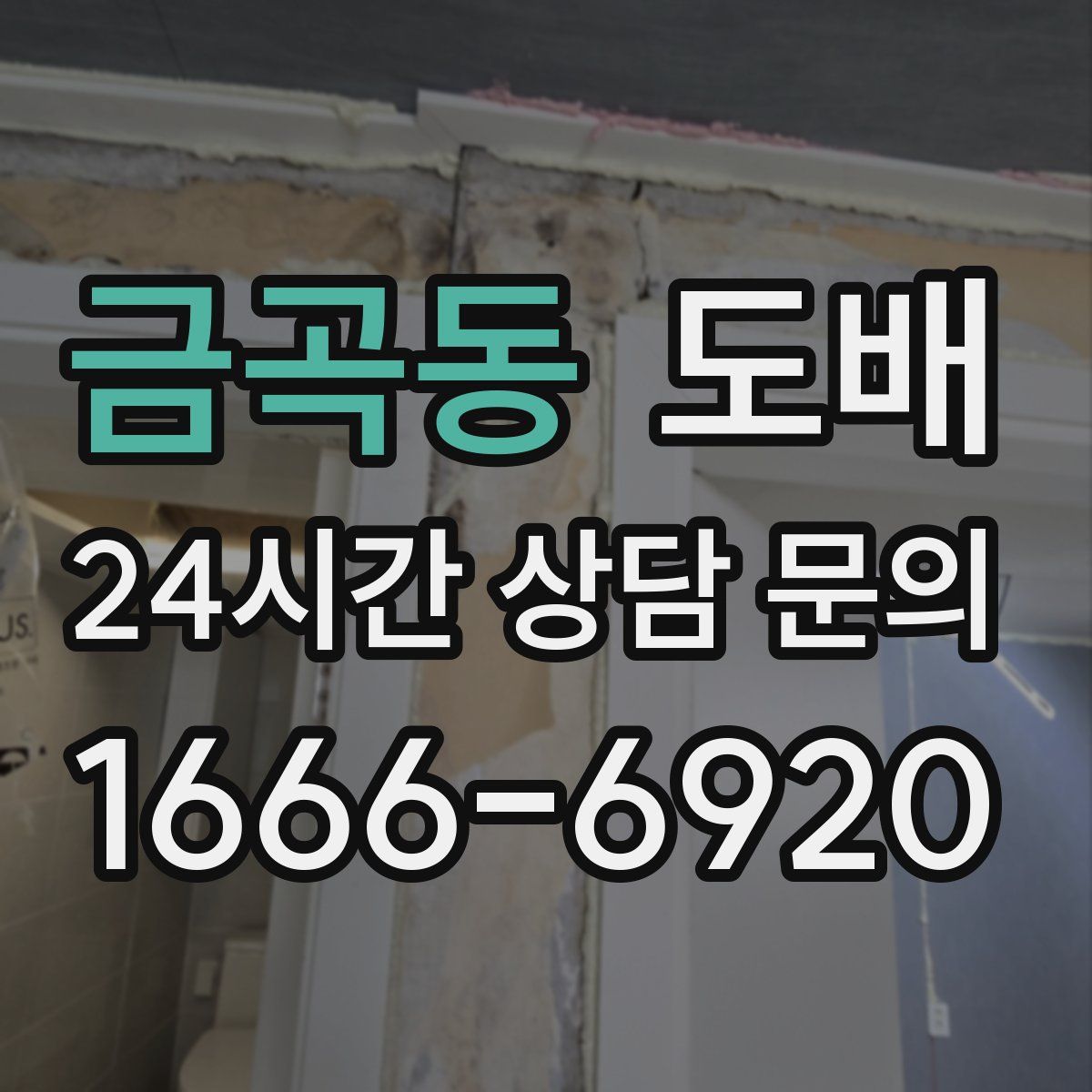 금곡동 도배