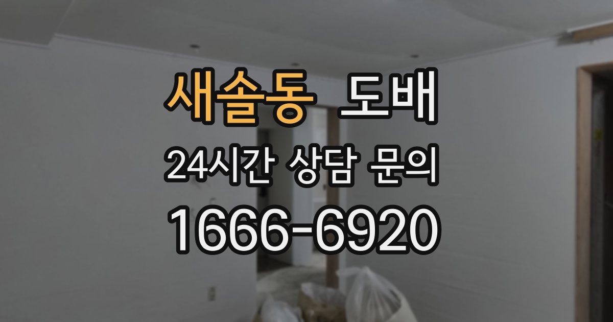 새솔동 도배