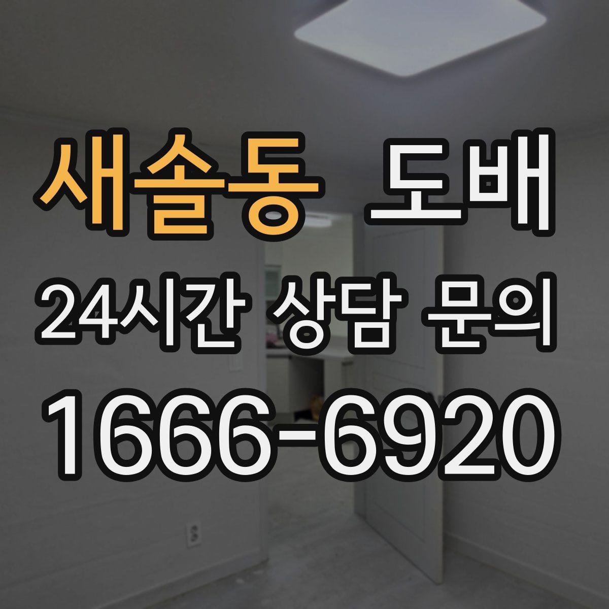 새솔동 도배