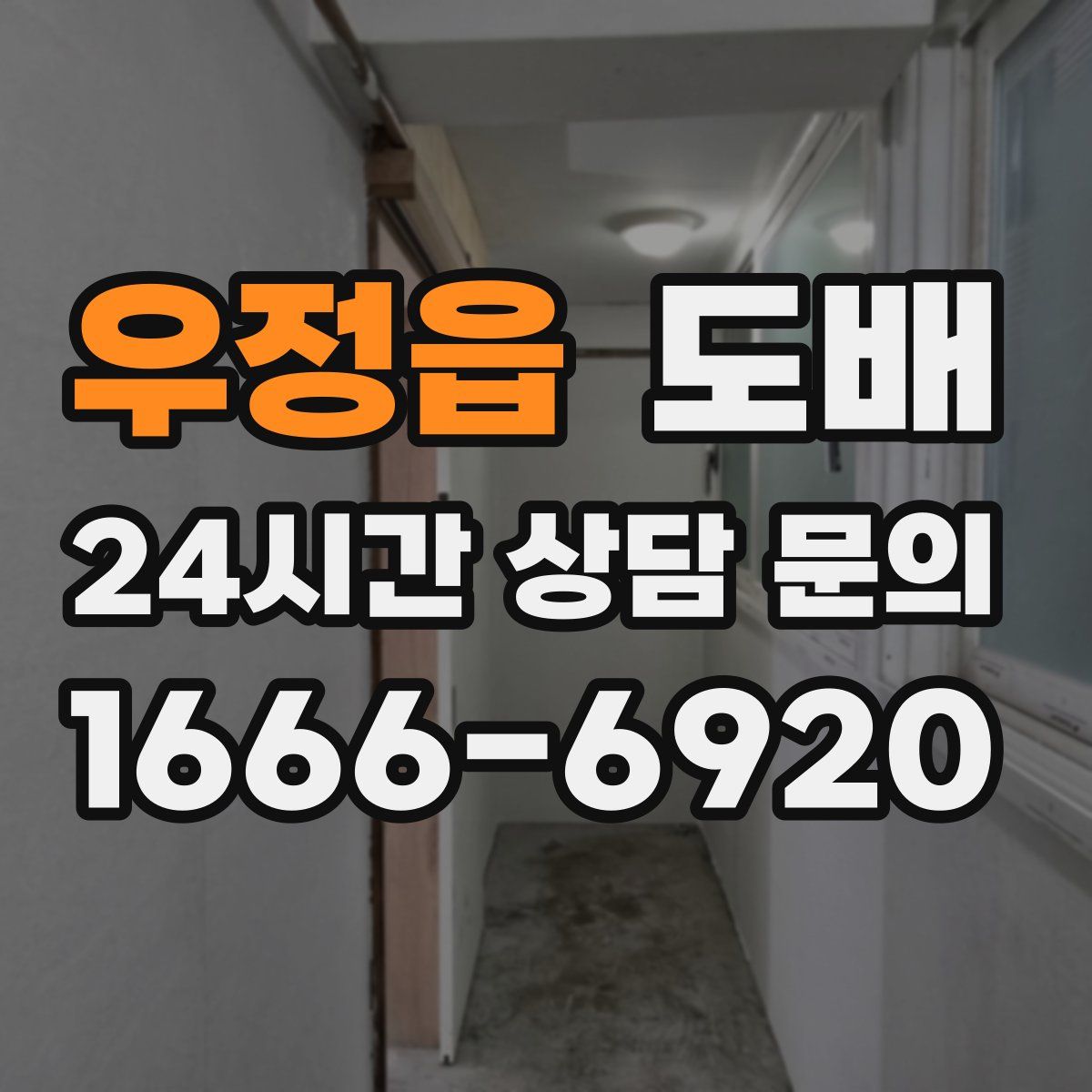 우정읍 도배
