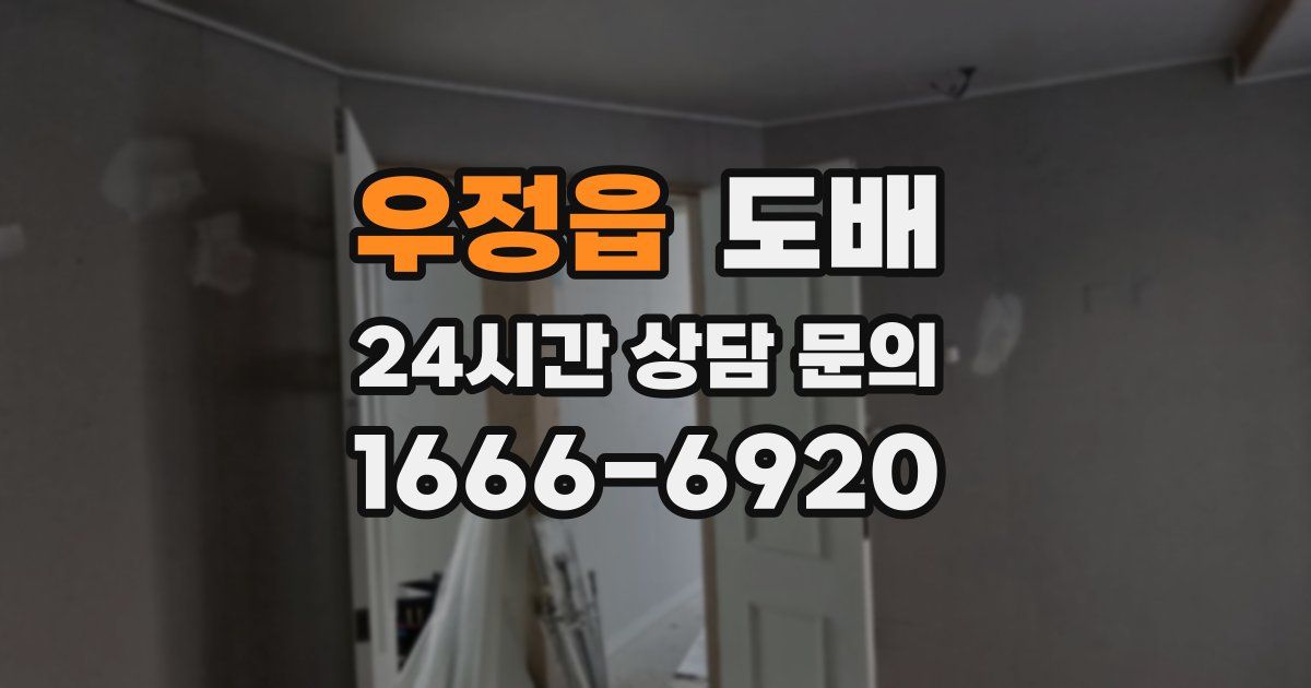 우정읍 도배