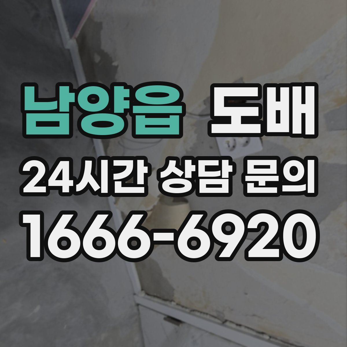 남양읍 도배