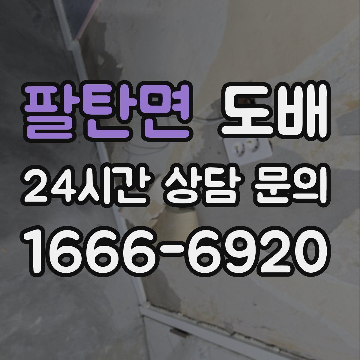 팔탄면 도배
