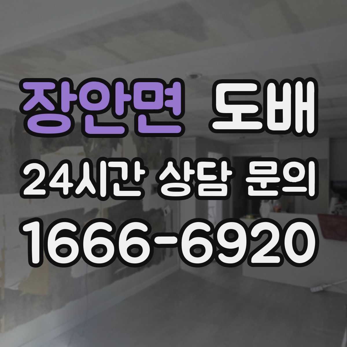 장안면 도배