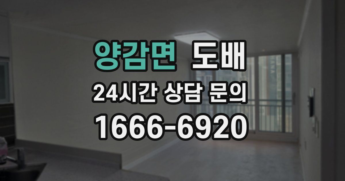 양감면 도배