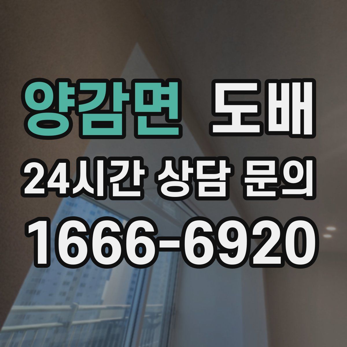 양감면 도배