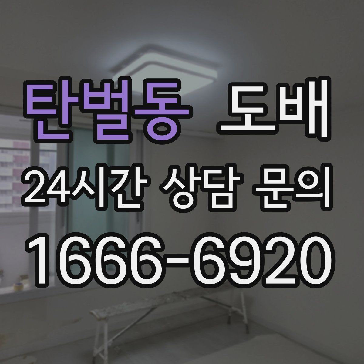 탄벌동 도배 후 실내 분위기를 바꾸는 소소한 팁
